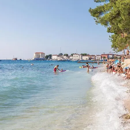 Awesome In With Kitchen Apartment Porec